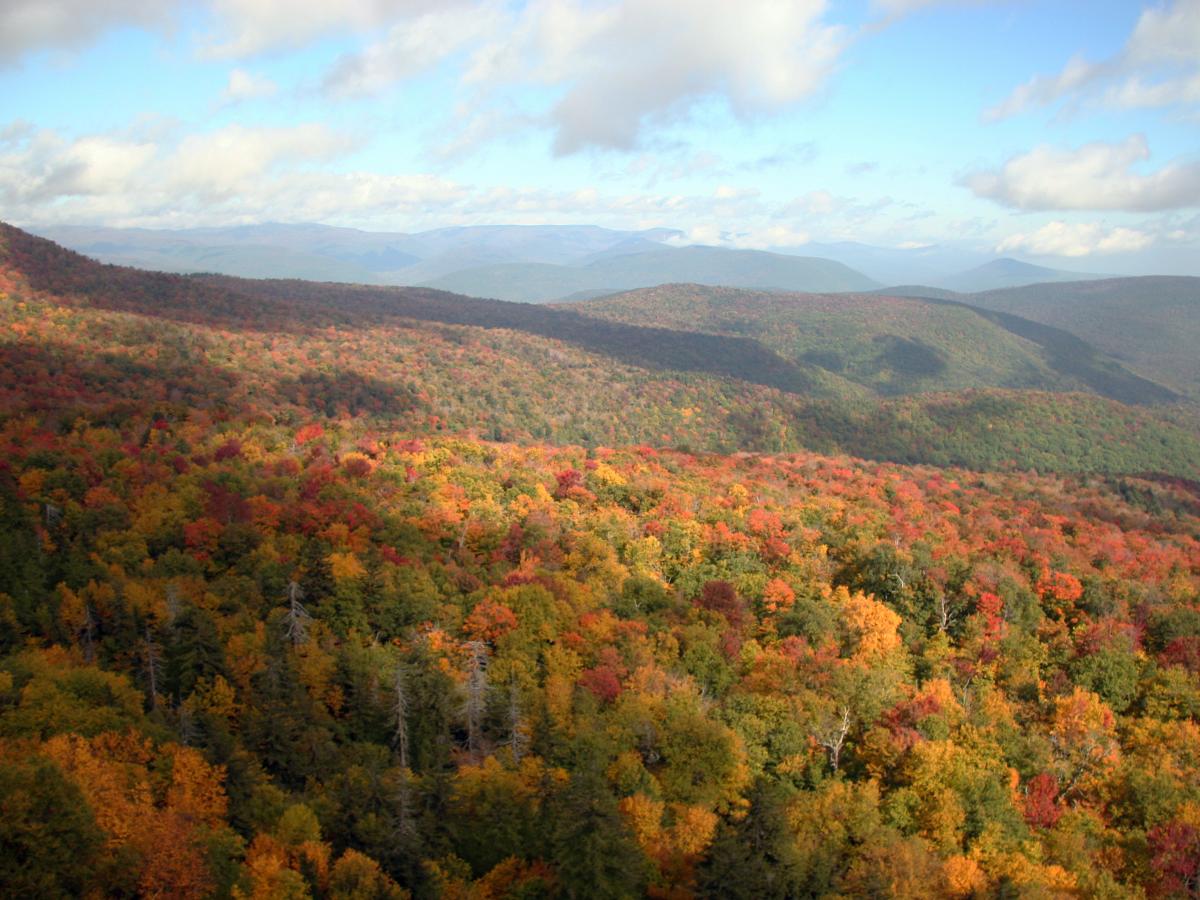 Catskill Mountains, Map, Description, & Facts