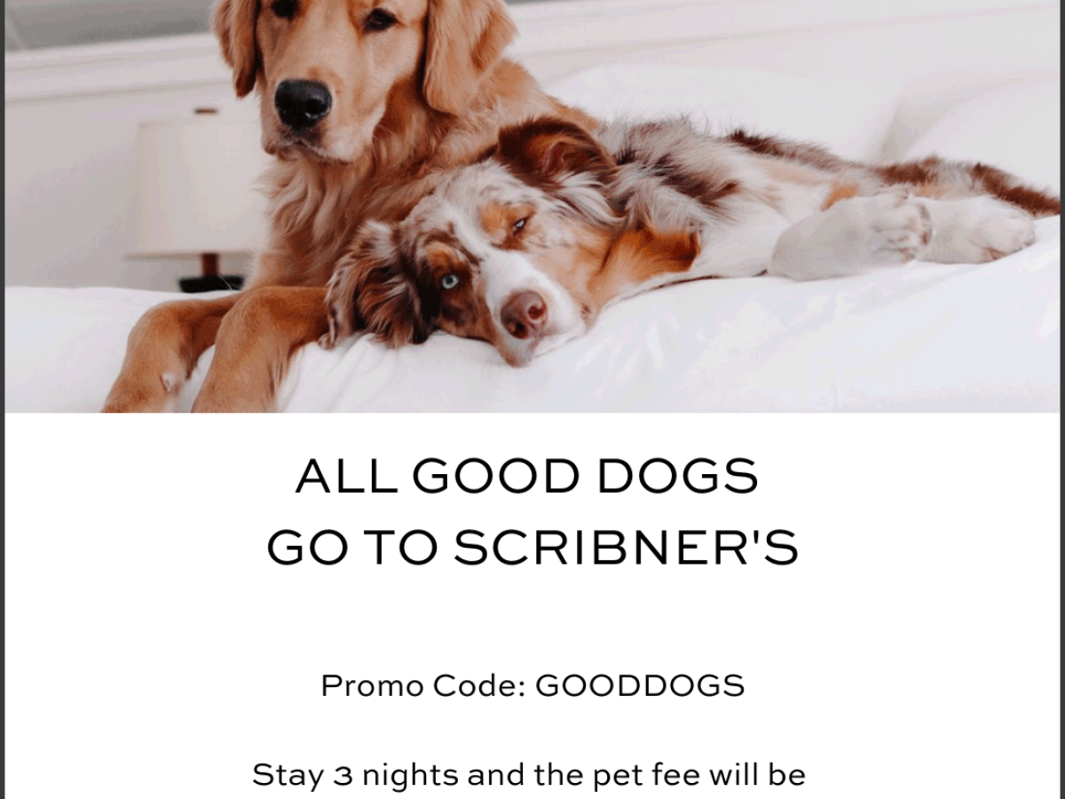 Bring Your Pup to Scribner’s – Stay 3 Nights & Waive Pet Fees! | Great ...