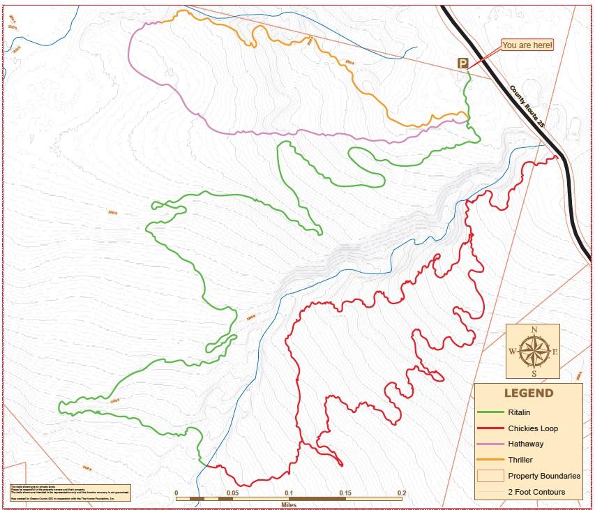 Tannersville-Hathaway Trail System | Great Northern Catskills of Greene ...