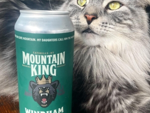 beer and cat