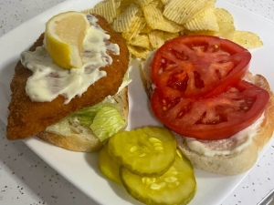 Hot sandwich and fries