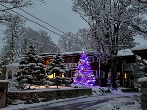 resort in winter