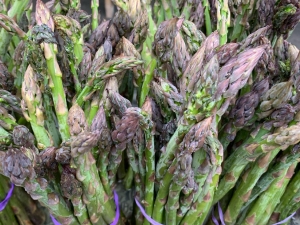 Asparagus