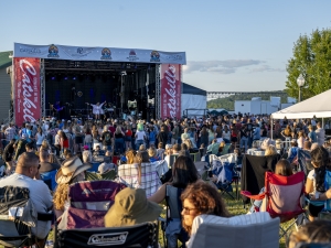 crowd at concert