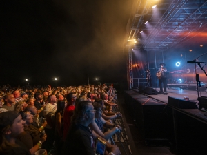 nighttime crowd at concert