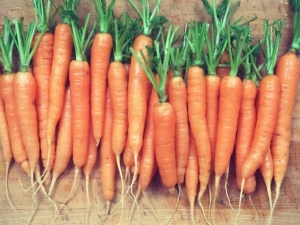 carrots