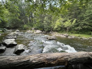 Hudson River Interpretive Trail