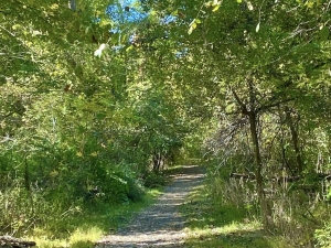 Hudson River Interpretive Trail