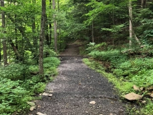 Hudson River Interpretive Trail