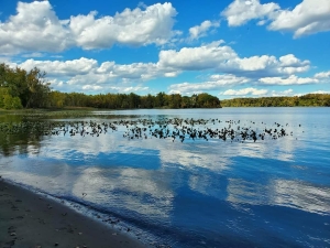 Hudson River Interpretive Trail