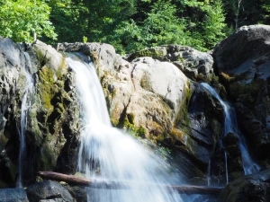 Hudson River Interpretive Trail