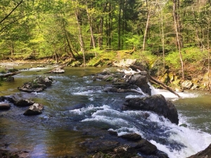 Hudson River Interpretive Trail