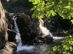 Hudson River Interpretive Trail