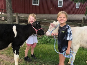 Kids with cows