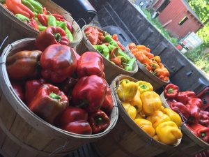 Peppers