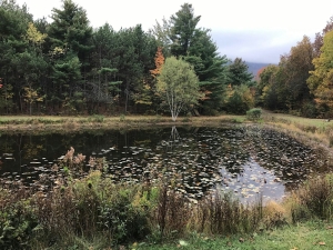 Siuslaw Model Forest