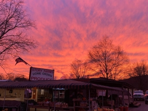 Sunset behind the farm stand