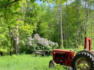 Hengarth Farm