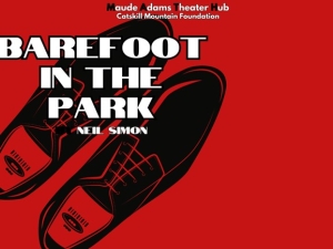 Barefoot in the Park