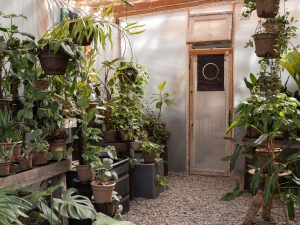 Inside the Greenhouse