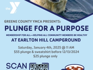 Polar Plunge Poster