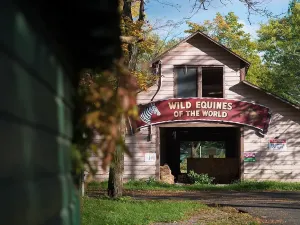 Wild Abandon_Old Catskill Game Farm