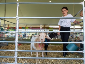 girl and goats