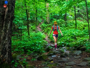 girl trail running in woods