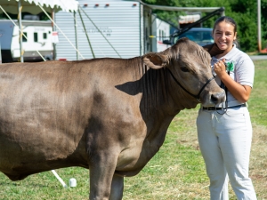 girl and cow