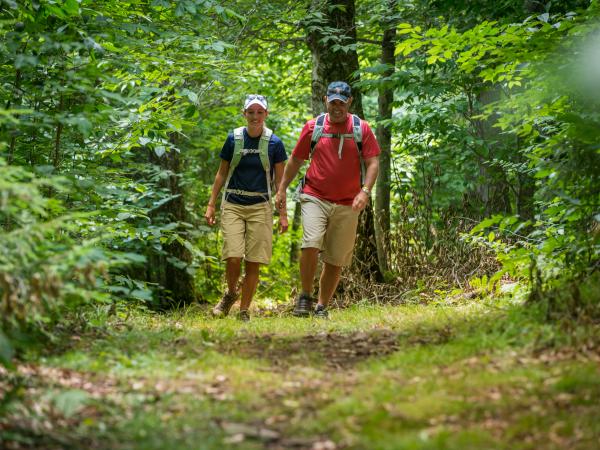 39 Best Catskills Hiking Trails | A Guide to Our Favorite Upstate NY Hikes