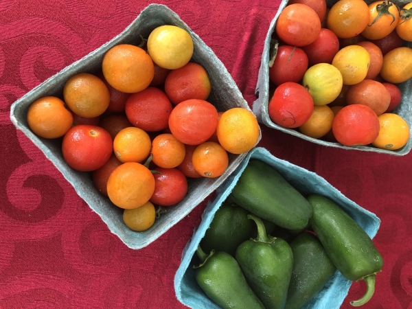 fresh local tomatoes at Shinglekill Falls farmers' market
