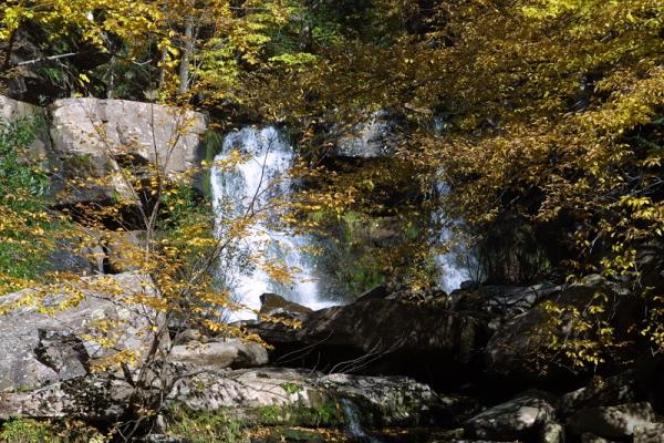 Our Favorite Fall Hikes in the Catskills
