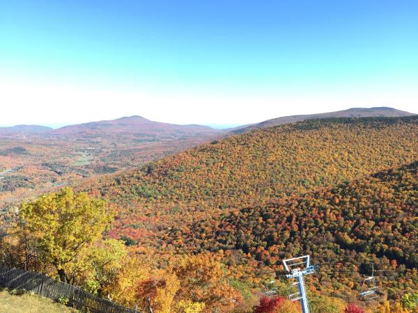 Our Favorite Fall Hikes in the Catskills