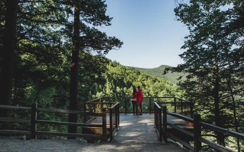 Summer in the Catskills  Great Northern Catskills of Greene County