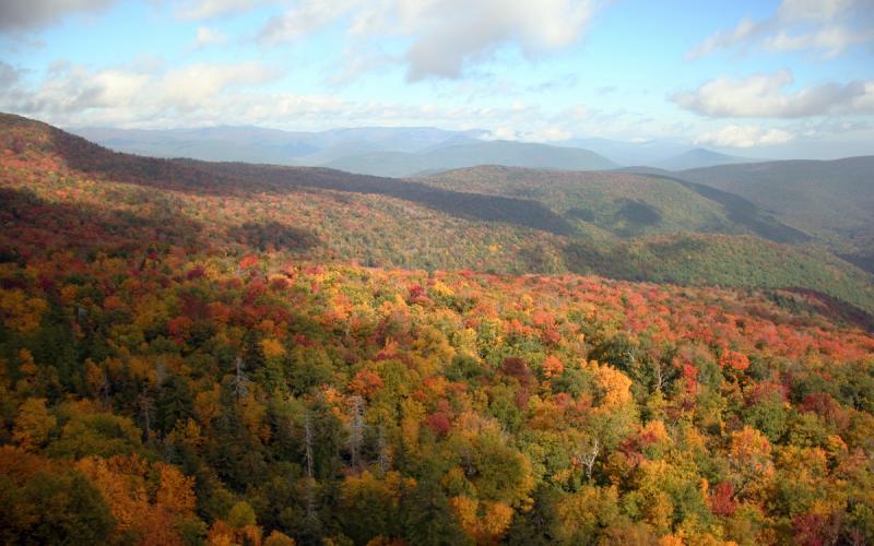 Summer in the Catskills  Great Northern Catskills of Greene County